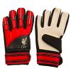 Liverpool FC Goalkeeper Gloves Kids DT 2