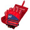 Arsenal FC Goalkeeper Gloves Yths DT 2