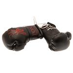 Liverpool FC Mini Boxing Gloves BK 2