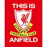 Liverpool FC 3D Print 2