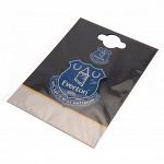 Everton FC 3D Fridge Magnet 3