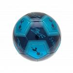 Tottenham Hotspur FC Skill Ball Signature 3