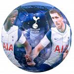 Tottenham Hotspur FC Players Photo Football 3
