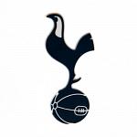 Tottenham Hotspur FC 3D Fridge Magnet 3