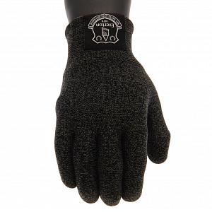 Everton FC Luxury Touchscreen Gloves Youths 1